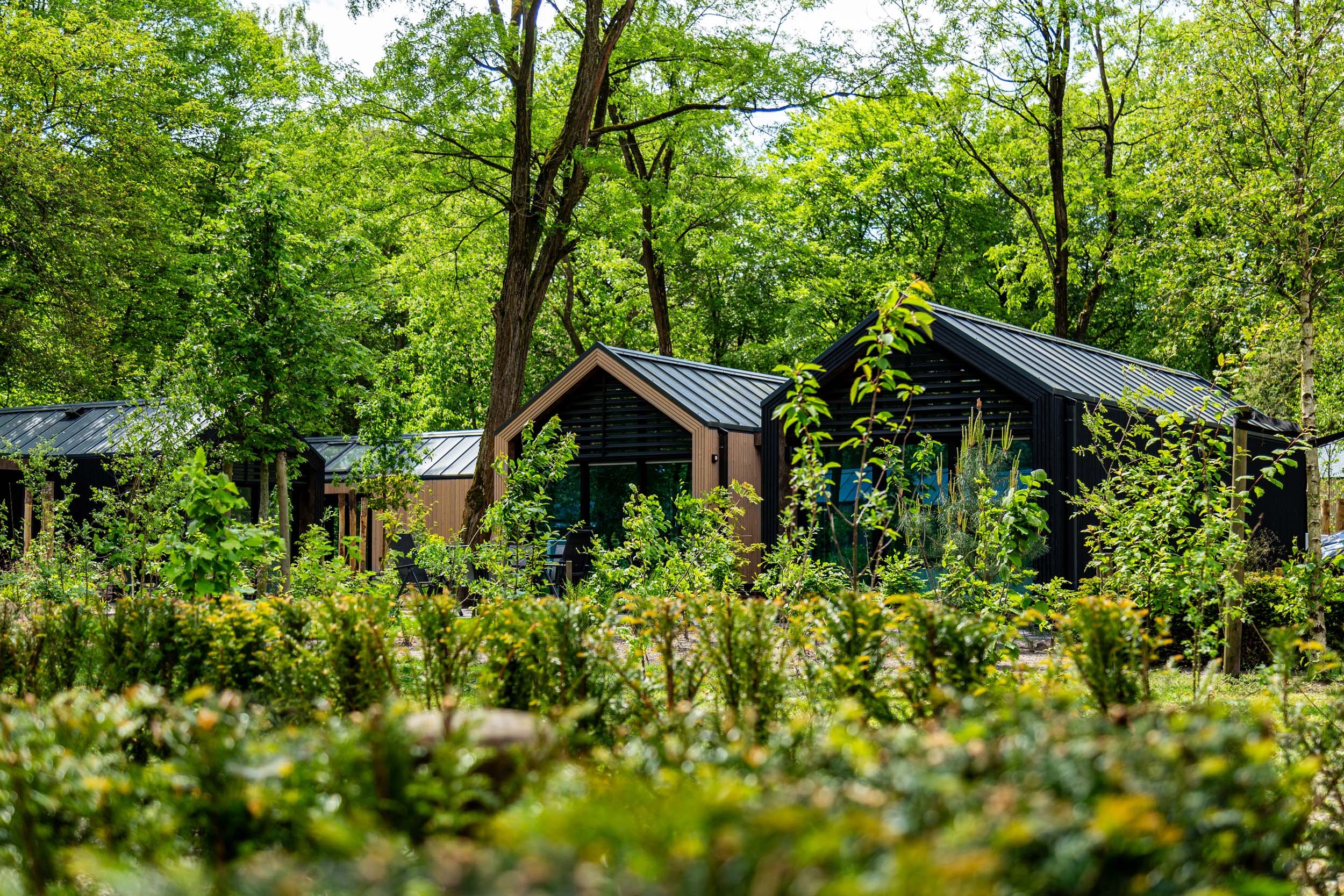 Residence Lage Vuursche - Holiday homes - Lodge Royal Eco - 14