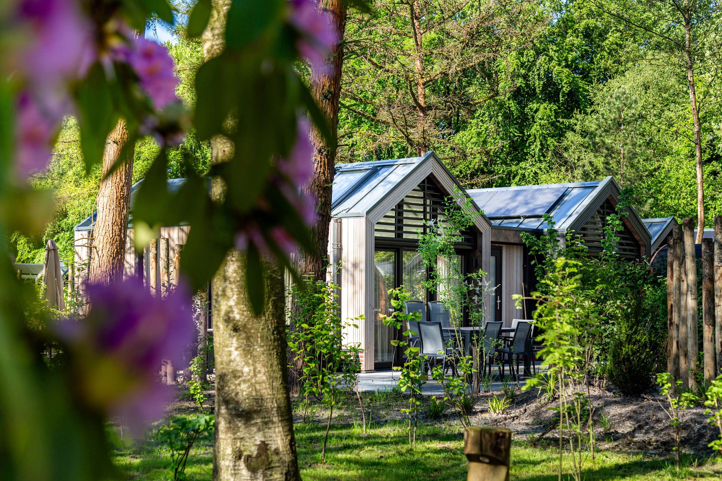 Residence Lage Vuursche - Holiday homes - Lodge Royal Eco - 2
