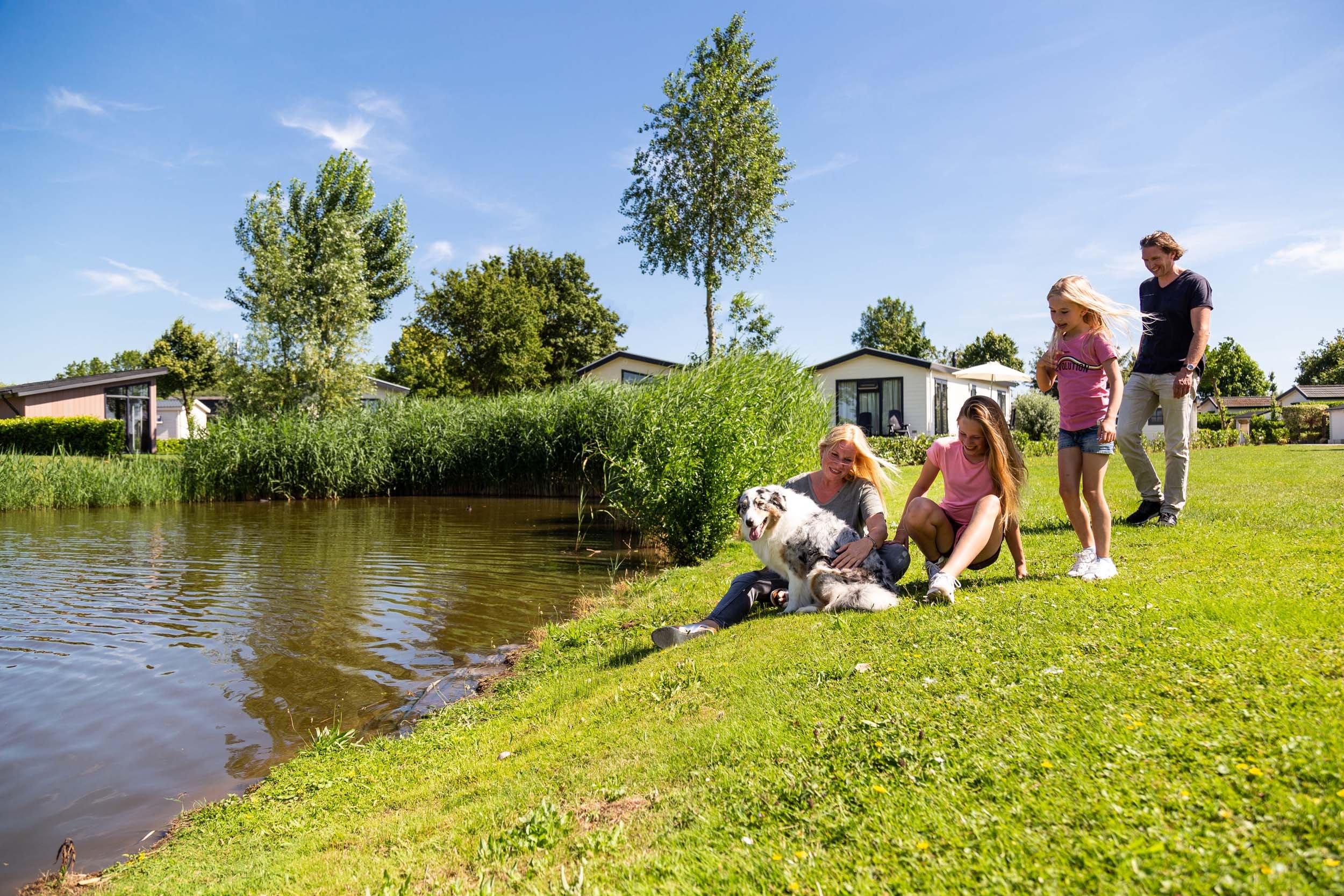 Recreatiepark het Esmeer - Pet - Dog - 3